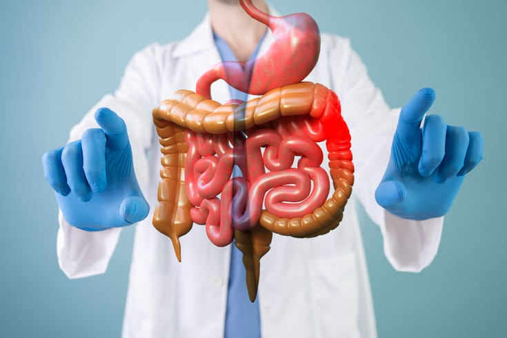 GI Surgery department