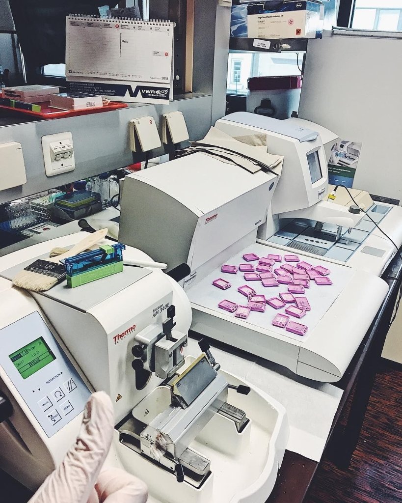 Histopathology department