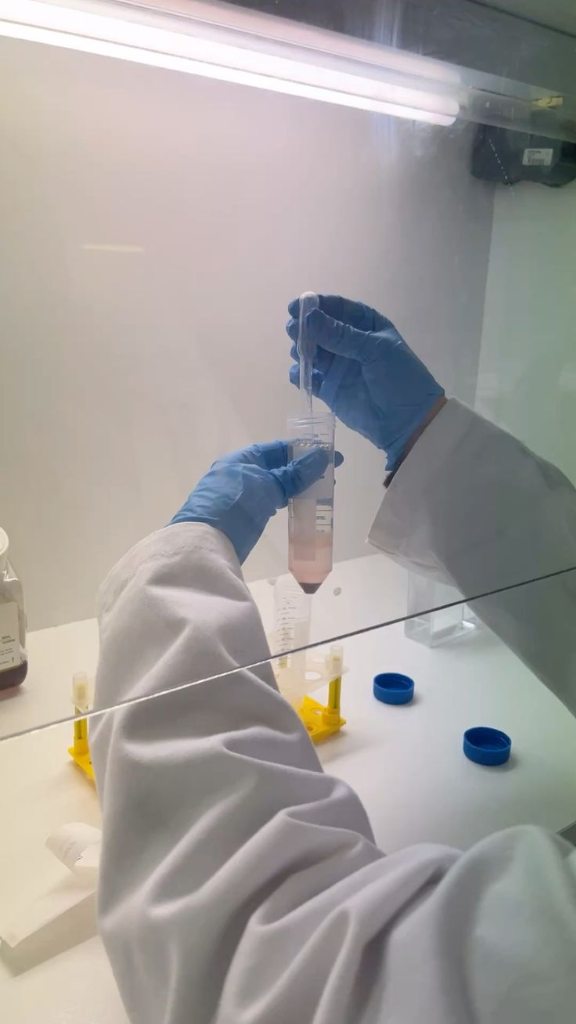 Immunology department
